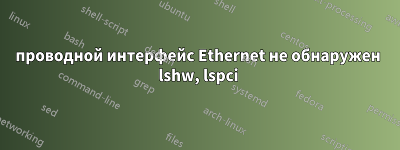 проводной интерфейс Ethernet не обнаружен lshw, lspci