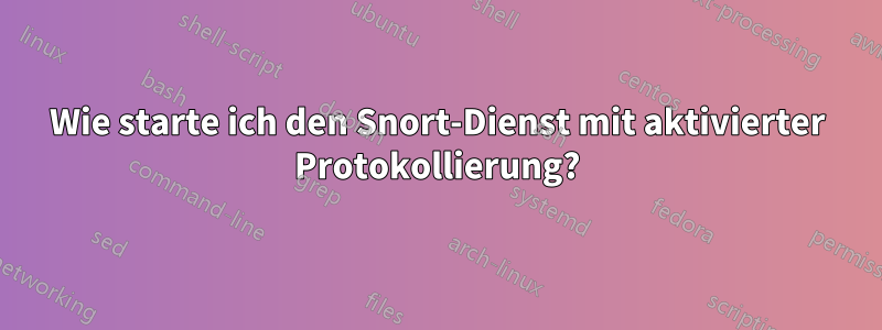 Wie starte ich den Snort-Dienst mit aktivierter Protokollierung?