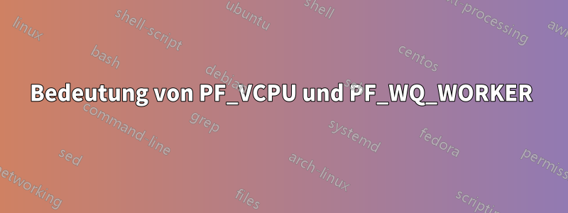 Bedeutung von PF_VCPU und PF_WQ_WORKER