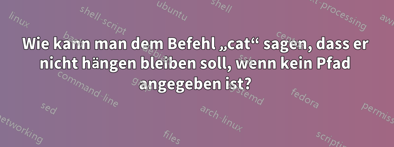 Wie kann man dem Befehl „cat“ sagen, dass er nicht hängen bleiben soll, wenn kein Pfad angegeben ist?