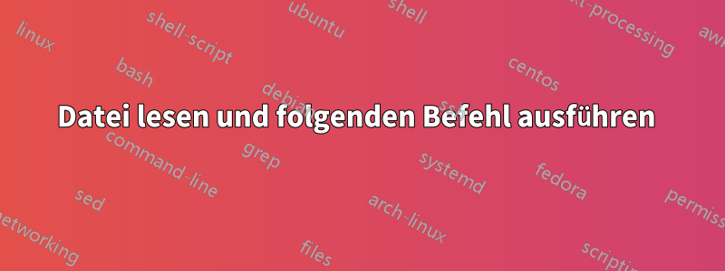 Datei lesen und folgenden Befehl ausführen 