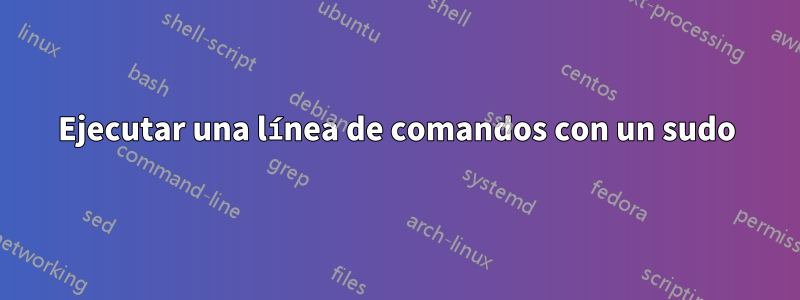 Ejecutar una línea de comandos con un sudo