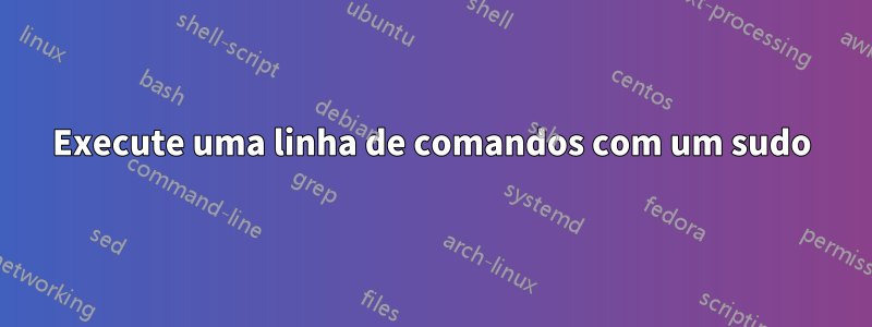 Execute uma linha de comandos com um sudo