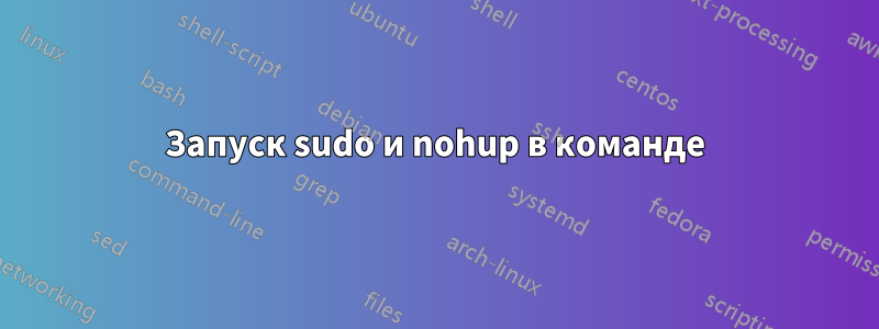 Запуск sudo и nohup в команде