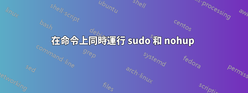 在命令上同時運行 sudo 和 nohup