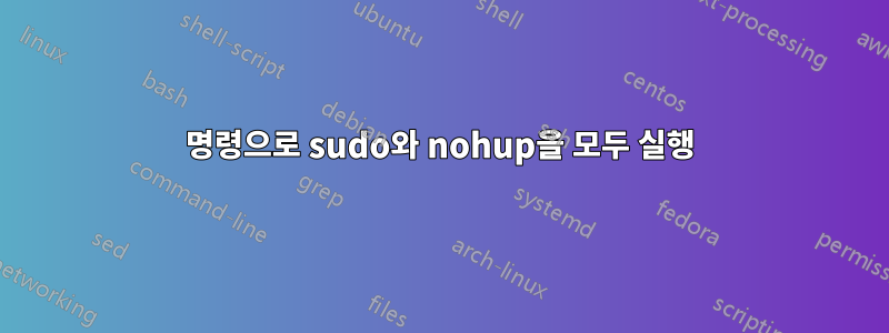 명령으로 sudo와 nohup을 모두 실행