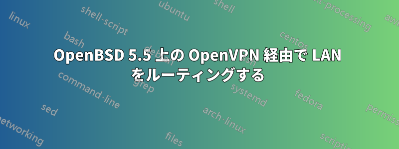 OpenBSD 5.5 上の OpenVPN 経由で LAN をルーティングする