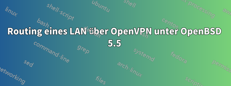 Routing eines LAN über OpenVPN unter OpenBSD 5.5