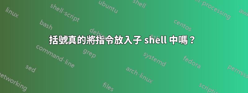 括號真的將指令放入子 shell 中嗎？