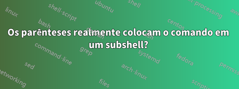 Os parênteses realmente colocam o comando em um subshell?