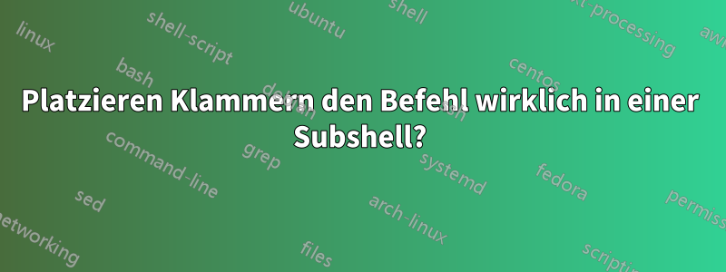 Platzieren Klammern den Befehl wirklich in einer Subshell?