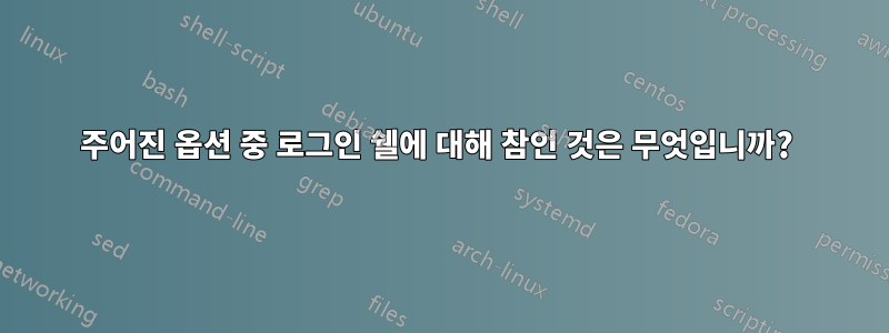 주어진 옵션 중 로그인 쉘에 대해 참인 것은 무엇입니까? 