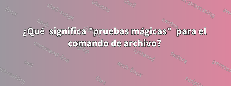 ¿Qué significa "pruebas mágicas" para el comando de archivo?