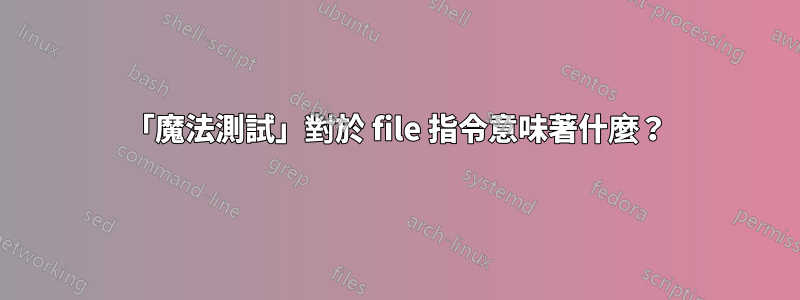 「魔法測試」對於 file 指令意味著什麼？