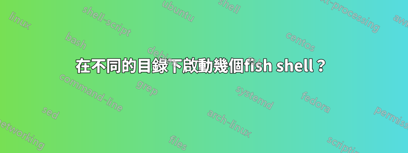 在不同的目錄下啟動幾個fish shell？