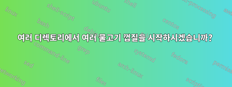 여러 디렉토리에서 여러 물고기 껍질을 시작하시겠습니까?