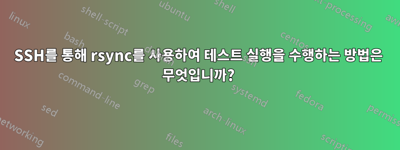 SSH를 통해 rsync를 사용하여 테스트 실행을 수행하는 방법은 무엇입니까?