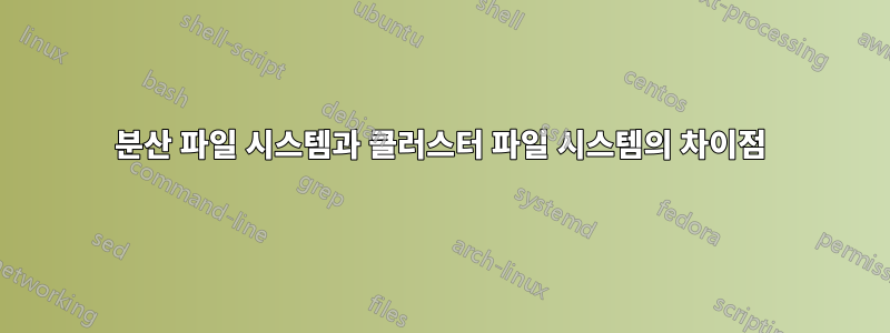 분산 파일 시스템과 클러스터 파일 시스템의 차이점