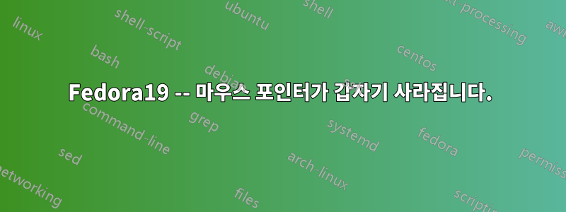 Fedora19 -- 마우스 포인터가 갑자기 사라집니다.