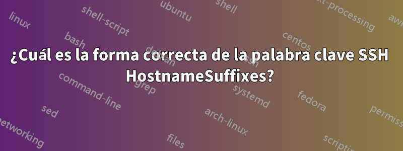 ¿Cuál es la forma correcta de la palabra clave SSH HostnameSuffixes?