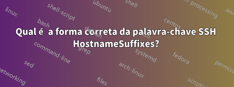 Qual é a forma correta da palavra-chave SSH HostnameSuffixes?