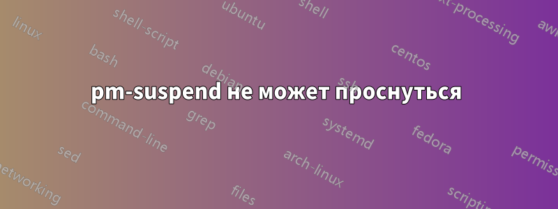 pm-suspend не может проснуться