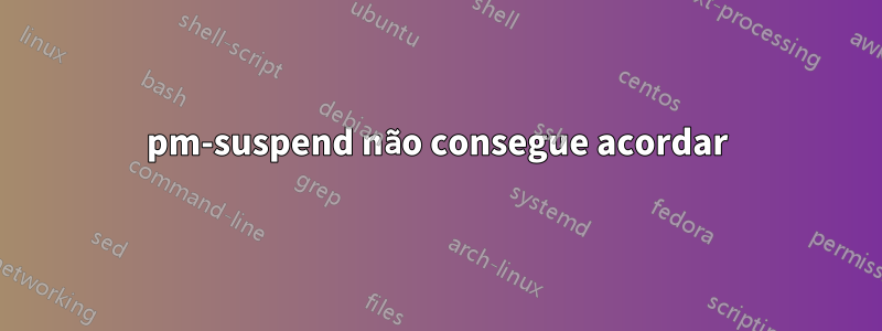 pm-suspend não consegue acordar