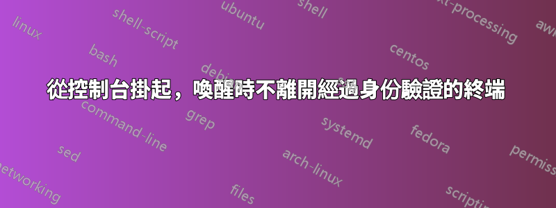 從控制台掛起，喚醒時不離開經過身份驗證的終端