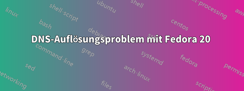 DNS-Auflösungsproblem mit Fedora 20