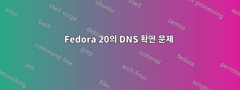 Fedora 20의 DNS 확인 문제