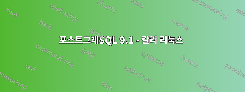 포스트그레SQL 9.1 - 칼리 리눅스