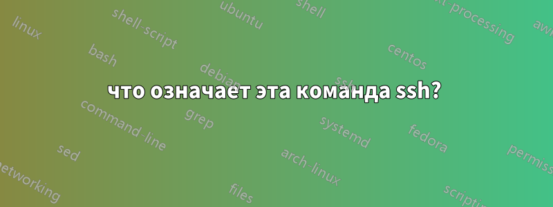 что означает эта команда ssh?