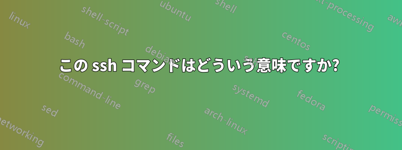 この ssh コマンドはどういう意味ですか?