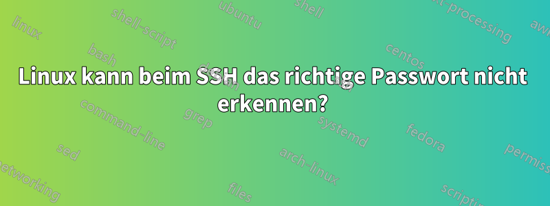 Linux kann beim SSH das richtige Passwort nicht erkennen?