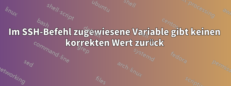 Im SSH-Befehl zugewiesene Variable gibt keinen korrekten Wert zurück