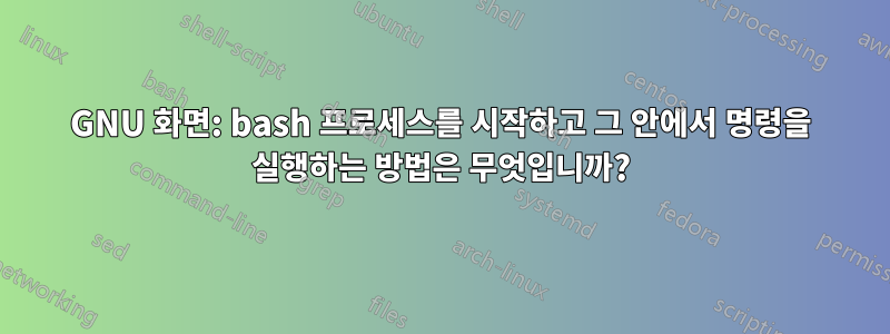 GNU 화면: bash 프로세스를 시작하고 그 안에서 명령을 실행하는 방법은 무엇입니까?