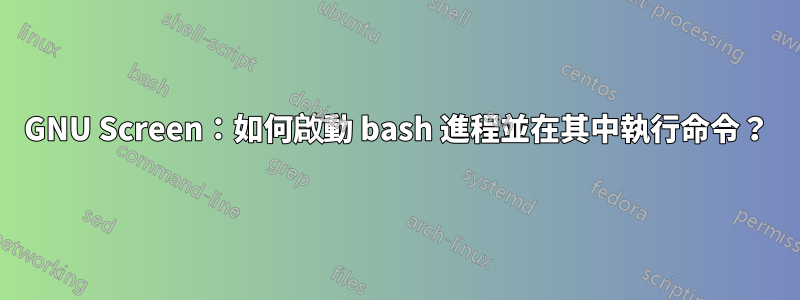 GNU Screen：如何啟動 bash 進程並在其中執行命令？