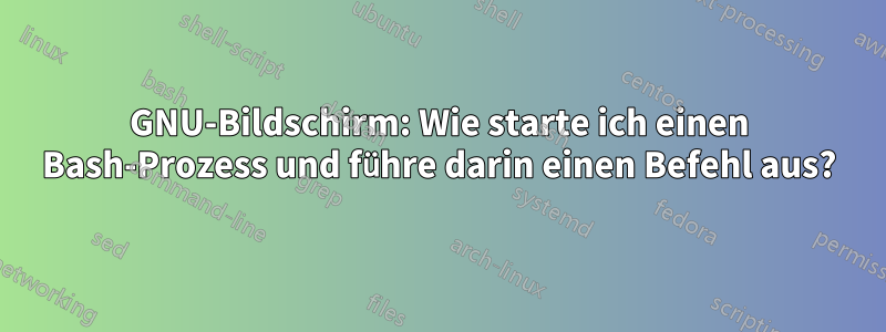 GNU-Bildschirm: Wie starte ich einen Bash-Prozess und führe darin einen Befehl aus?