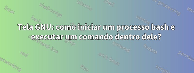 Tela GNU: como iniciar um processo bash e executar um comando dentro dele?