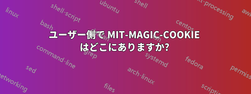 ユーザー側で MIT-MAGIC-COOKIE はどこにありますか?