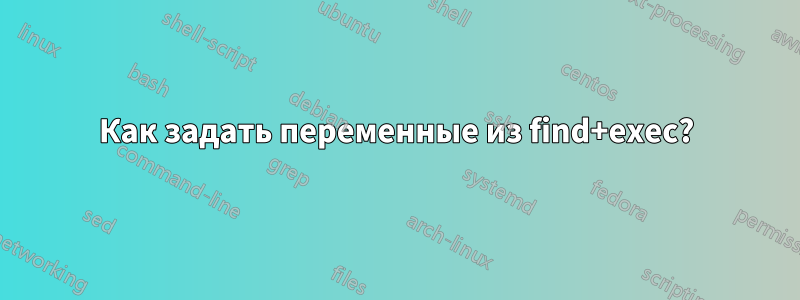 Как задать переменные из find+exec?