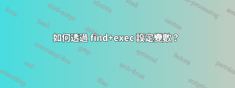 如何透過 find+exec 設定變數？