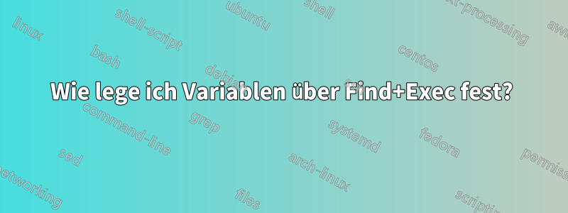 Wie lege ich Variablen über Find+Exec fest?