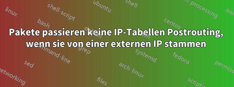 Pakete passieren keine IP-Tabellen Postrouting, wenn sie von einer externen IP stammen