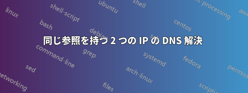 同じ参照を持つ 2 つの IP の DNS 解決