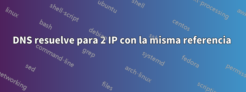 DNS resuelve para 2 IP con la misma referencia