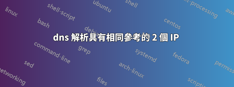 dns 解析具有相同參考的 2 個 IP