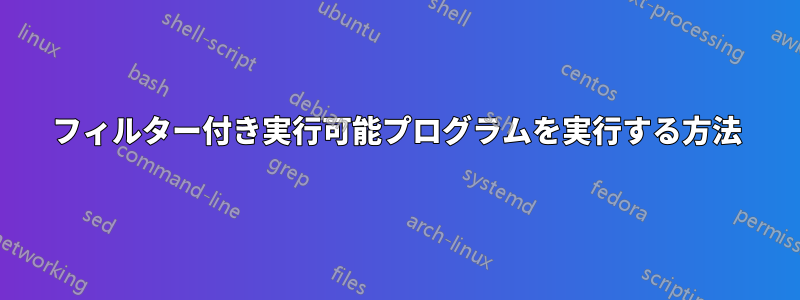 フィルター付き実行可能プログラムを実行する方法