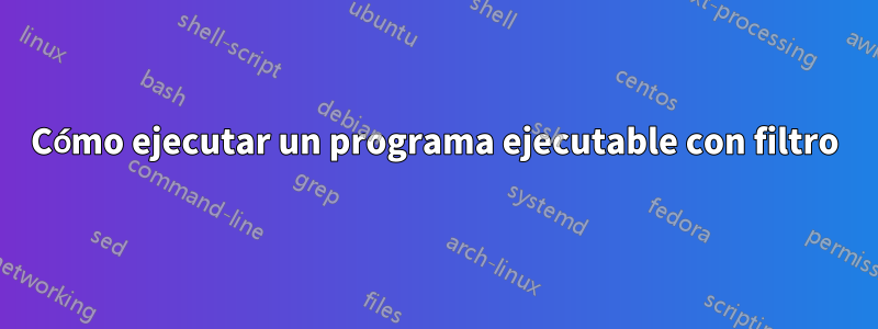 Cómo ejecutar un programa ejecutable con filtro