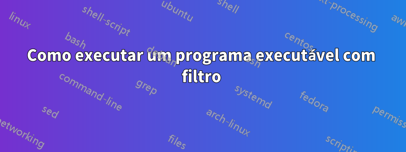 Como executar um programa executável com filtro